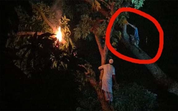 রাঙ্গুনিয়ায় গাছের উপর কিশোরী, আগুন দিয়ে নামাল গাউছিয়া কমিটি