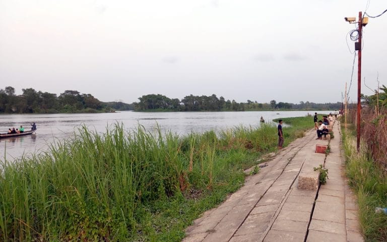 হালদার মাছ রক্ষায় কার্যকর উদ্যোগ নেই