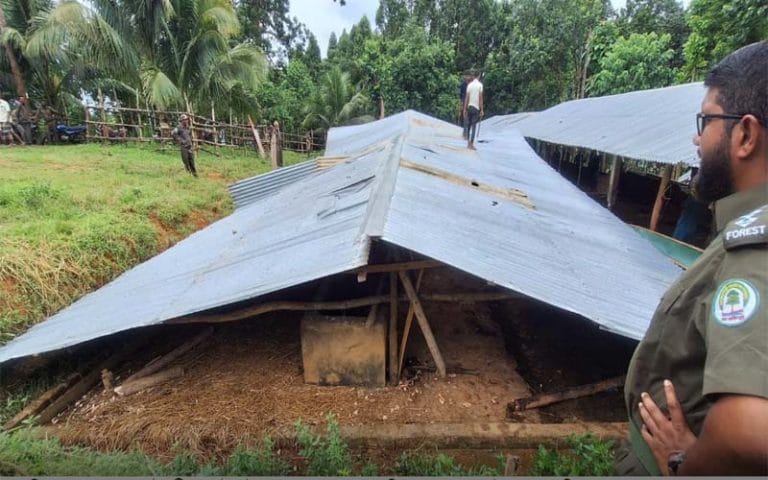 রাঙ্গুনিয়ায় হাছান মাহমুদের ভাইয়ের দখলে থাকা বনবিভাগের বিপুল জায়গা উদ্ধার