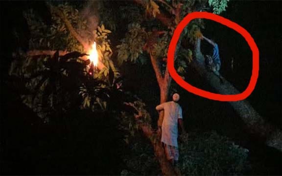 গাছের উপর মানসিক ভারসাম্যহীন কিশোরী, ৭ ঘণ্টা পর উদ্ধার
