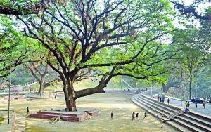 কমিউিনিটি সেন্টারের ভাড়ার খড়গ সিআরবির শিরীষতলায়