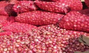 আমদানির ঘোষণায় খাতুনগঞ্জে পেঁয়াজের দরপতন