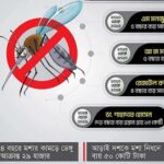 মশার কামড়ে চট্টগ্রামবাসীর সুখ-শান্তি সব শেষ!